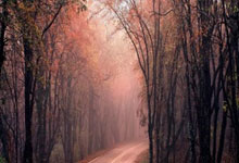 境外买球网站 -看着色泽红润的猪肉，为啥买回家后却黯淡失色？记者实地探访北京市场→