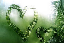 境外买球网站 -看着色泽红润的猪肉，为啥买回家后却黯淡失色？记者实地探访北京市场→