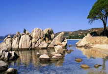 境外买球网站 -看着色泽红润的猪肉，为啥买回家后却黯淡失色？记者实地探访北京市场→