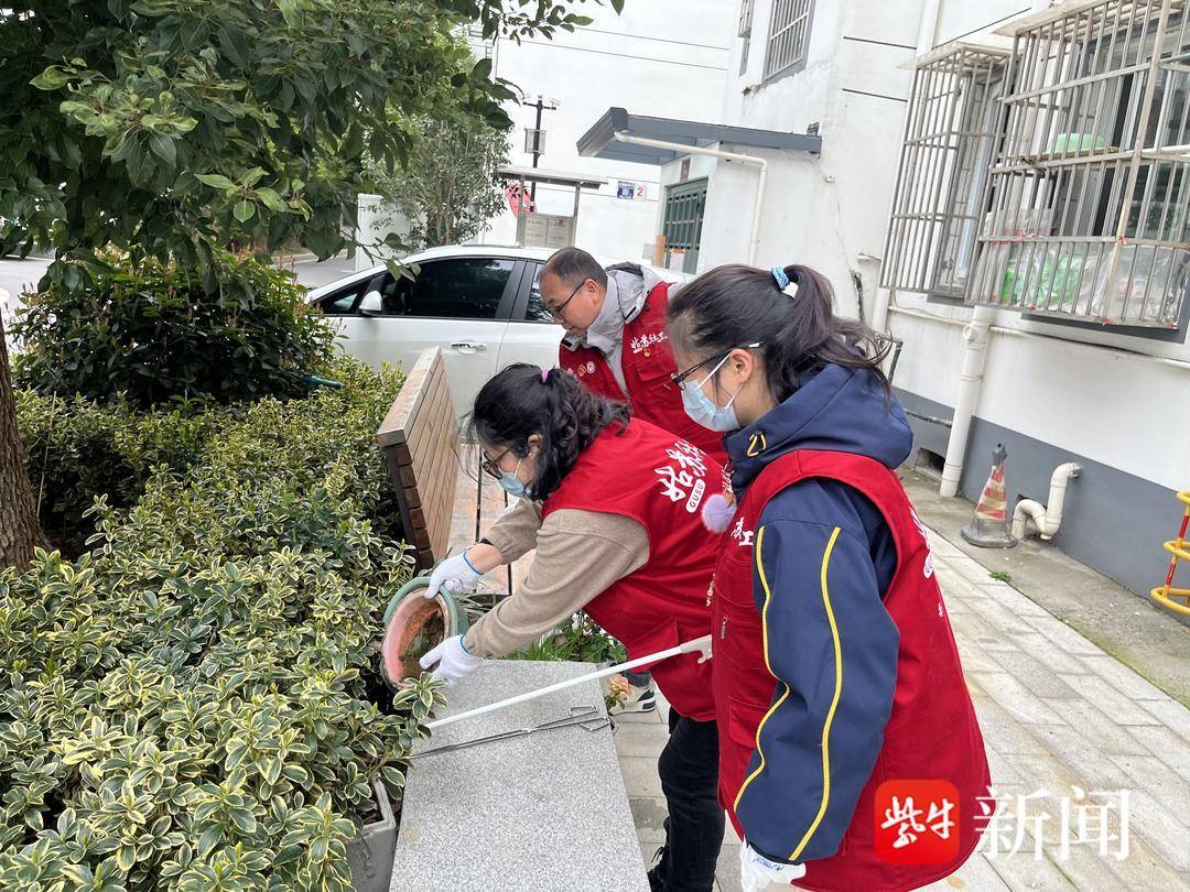 “清道夫”出击，翻盆倒罐防虫患